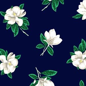 Meet your Posher, Blanca